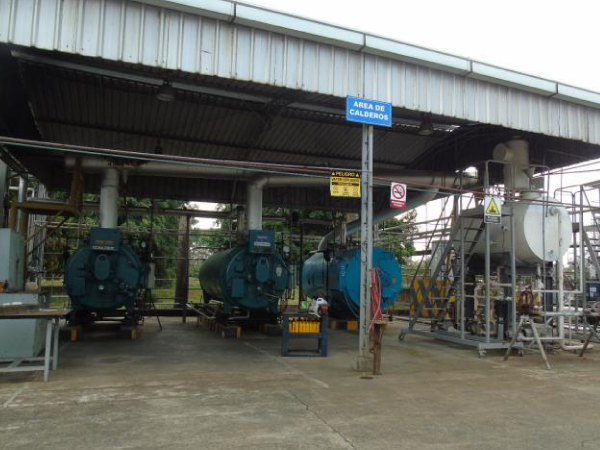 Fotos-Tropifrutas-quevedo-10