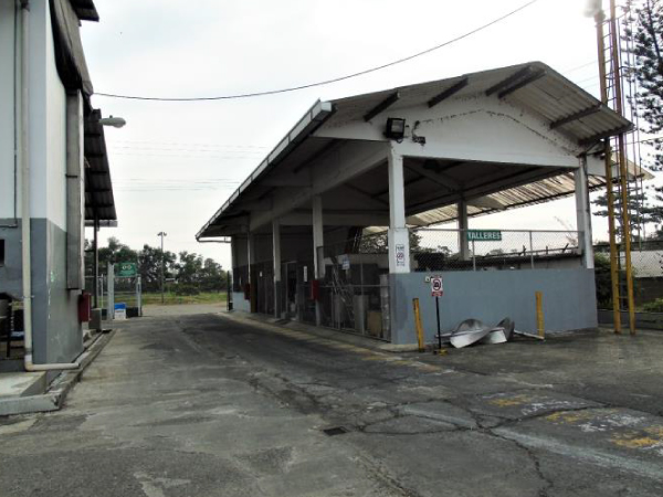 Fotos-Tropifrutas-quevedo-7